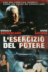 L'esercizio del potere