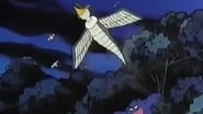 Dragon Quest: Las aventuras de Fly 1x14