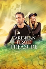 Caribbean Pirate Treasure постер