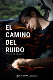 El camino del ruido