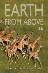 Earth From Above: Life