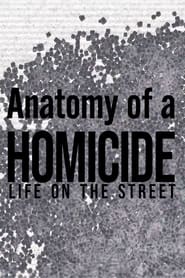 Poster Anatomy of a 'Homicide: Life on the Street'