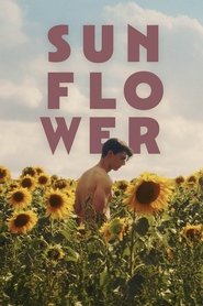 Poster Sunflower 2024