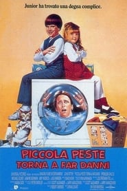 Poster Piccola peste torna a far danni 1991