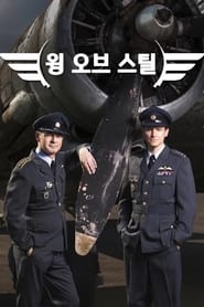 Wings of Steel постер