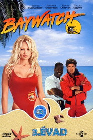 Baywatch 3. évad plakát