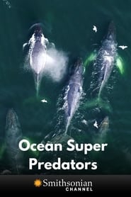 Ocean Super Predators 2021 مشاهدة وتحميل فيلم مترجم بجودة عالية