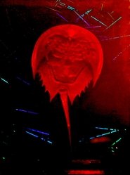 A Horseshoe Crab Story (2023)