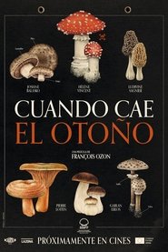 Imagen Cuando cae el otoño 2024
