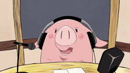 Episode 31
