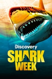 Shark Week постер