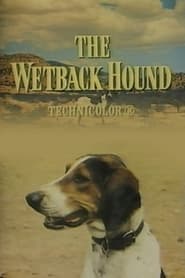 The Wetback Hound постер