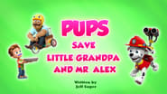 Pups Save Little Grandpa and Mr. Alex