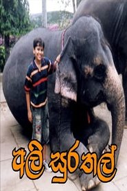 Poster Ali Surathal 2009