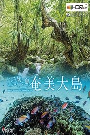 奄美大島 ~いのち紡ぐ島 2020 Δωρεάν απεριόριστη πρόσβαση