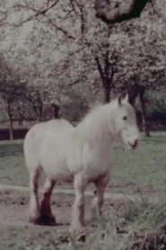 East of the Malverns (1957)