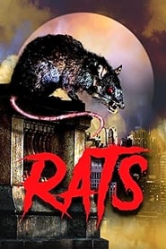 Пацюки постер