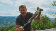 Bears And Vipers in Slovenia
