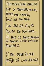 Random robotul din România постер
