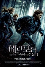 해리 포터와 죽음의 성물 1 (2010)