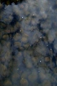 Poster Drops on Marble 2003
