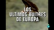 Episode 27