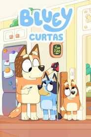 Bluey Curtas
