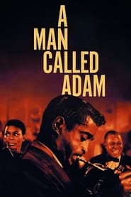 Poster A Man Called Adam