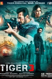 Film streaming | Tiger 3 en streaming