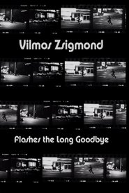 Vilmos Zsigmond Flashes 'The Long Goodbye' streaming