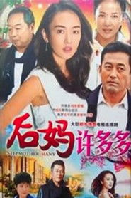 后妈许多多 (2016)