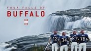 Four Falls Of Buffalo