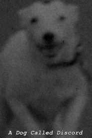 A Dog Called Discord