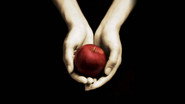 Fan Fiction Story Time - December 2025 #1 - Forbiden Fruit Ch. 4 - 6