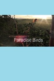 Aves do Paraíso de Attenborough