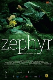 Zephyr 2010