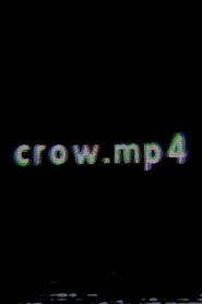 crow.mp4 2025