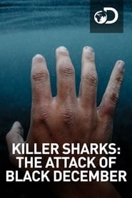 Killer Sharks: The Attacks Of Black December