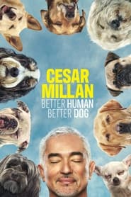 Cesar Millan: Better Human Better Dog постер