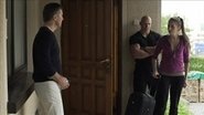 Episode 29