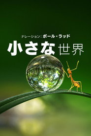 Tiny World Season 1 19