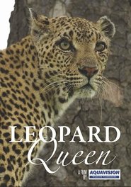 Poster Leopard Queen 2010