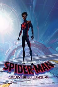 Людина-павук: Крізь Всесвіт постер