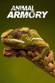 Poster Animal's Armory 2016