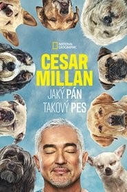 Cesar Millan: Jaký pán, takový pes