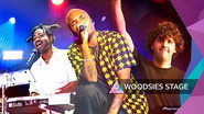 Woodsies Stage - Friday