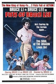 Fists Of Bruce Lee streaming