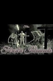 Ferestre Întunecate