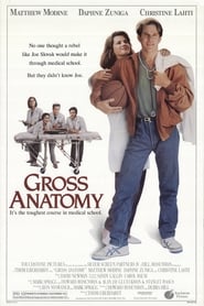 Gross Anatomy постер