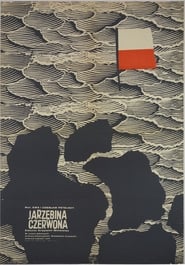 Poster Jarzębina czerwona